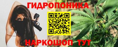 PSILOCYBIN Кимры