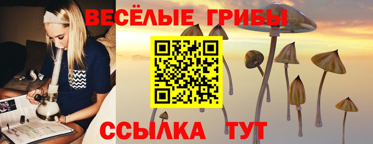 Галлюциногенные грибы Psilocybine cubensis Майский
